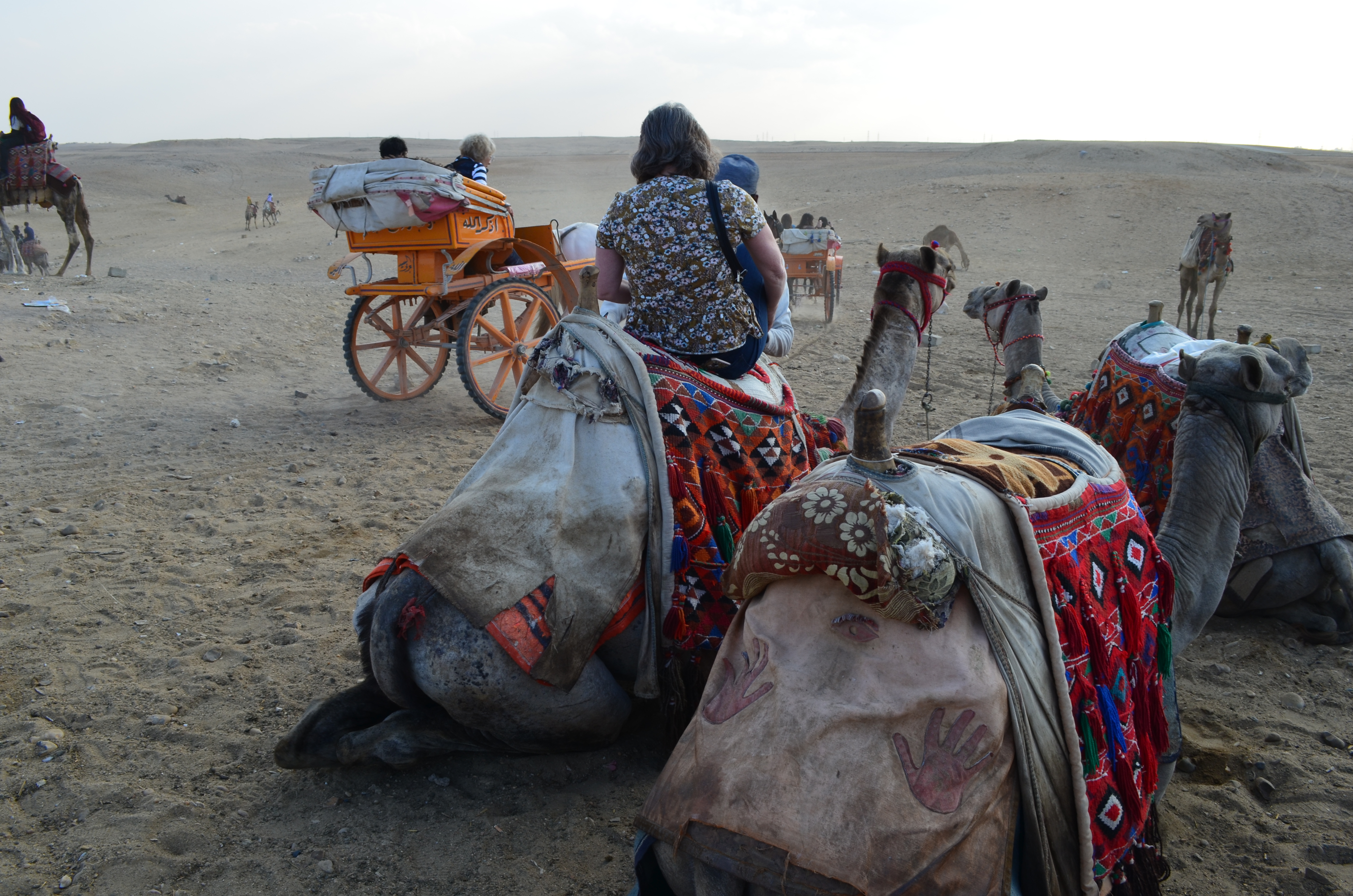 ./2018/16 - Egypt/03 - Pyramids/DSC_0294.JPG